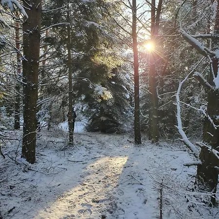 Apartmaji Anita * Begunje pri Cerknici