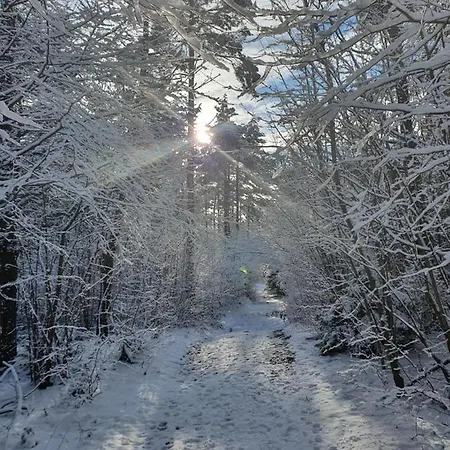 Апартаменты Apartmaji Anita Begunje pri Cerknici