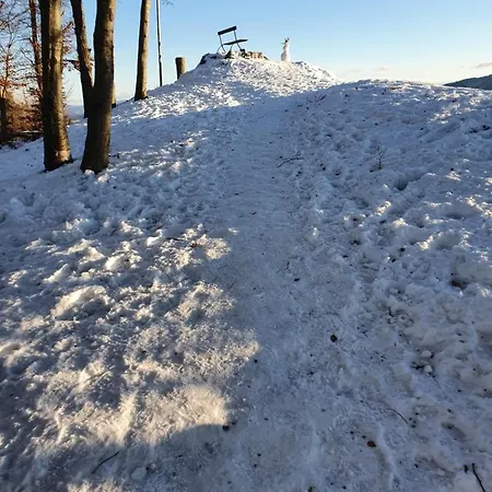 Apartmaji Anita Апартаменты *