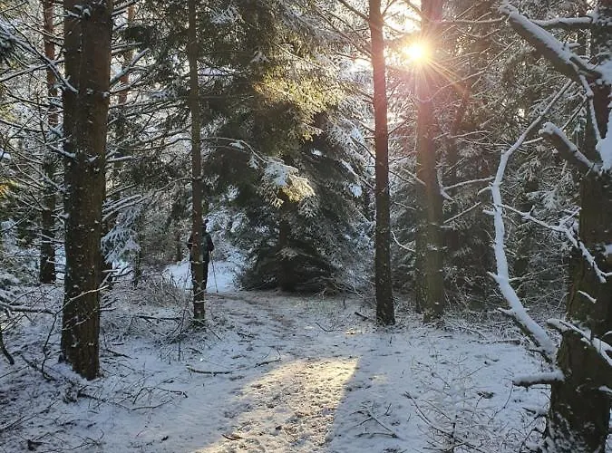 Apartmaji Anita * Begunje pri Cerknici