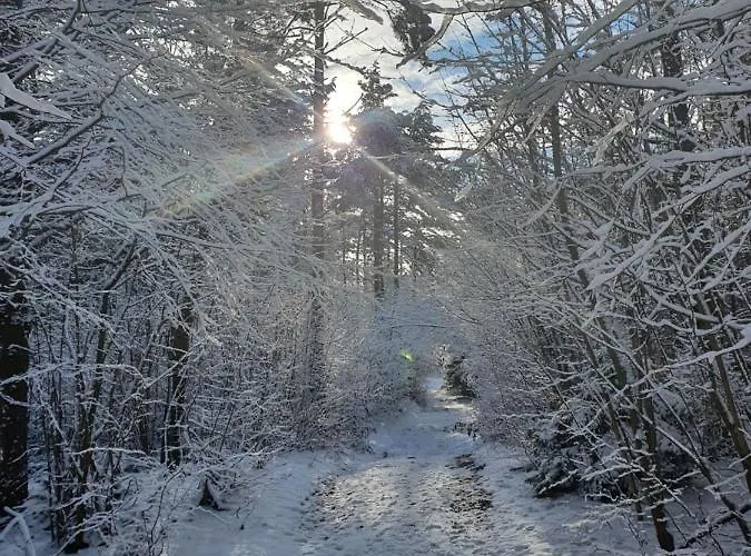 Apartment Apartmaji Anita Begunje pri Cerknici