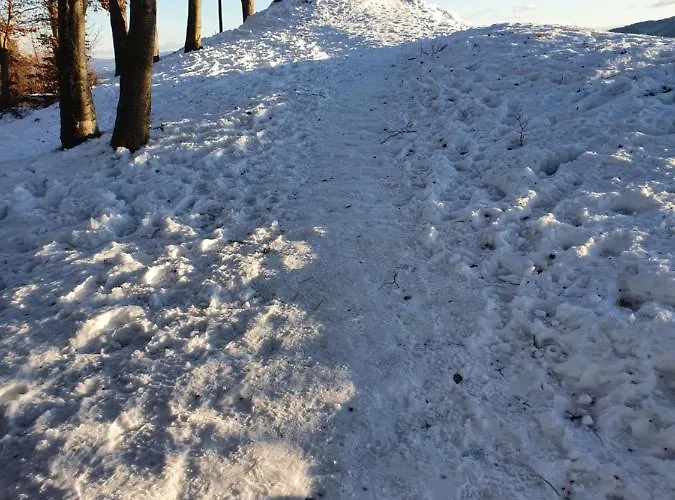 Apartmaji Anita Apartamento *